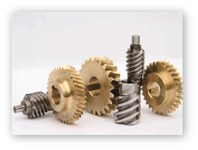 �����ϸ˸�