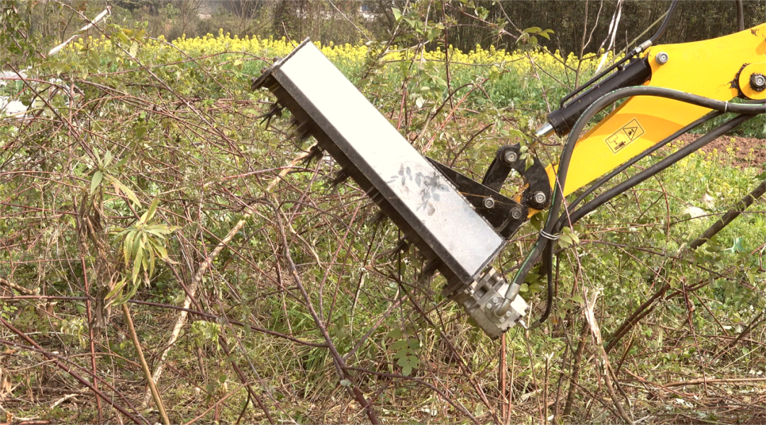 ����Ч��ʾ��2121�Ƿ�ũ���������ͷ